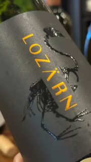 Last week @lozarnwines made a quick turn up north. Showcasing some of their wines from the Breede River Valley.
#wineofsouthafrica #johannesburg #breederivervalley #winetasting #winetime